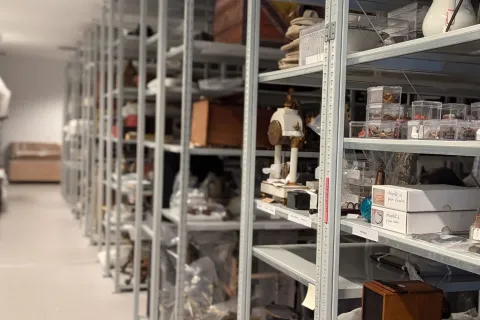 Alienor.org - le réseau des musées de Nouvelle-Aquitaine